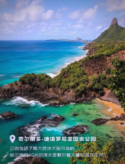 flamnego-vs - Cassinos e iGaming no Brasil